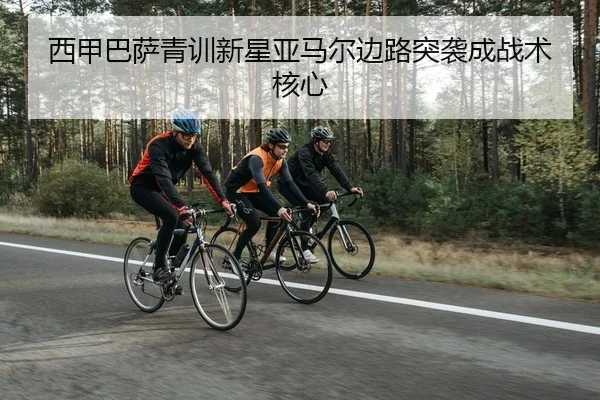 xi-jia-ba-sa-qing-xun-xin-xing-ya-ma-er-bian-lu-tu-xi-cheng-zhan-shu-he-xin-2-265.jpg